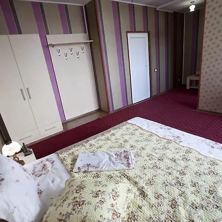 酒店 拉吉尔酒店 3*